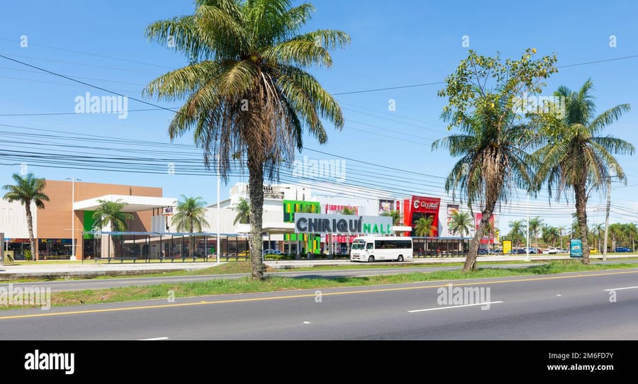 Town Center David - Gallery Photo 2