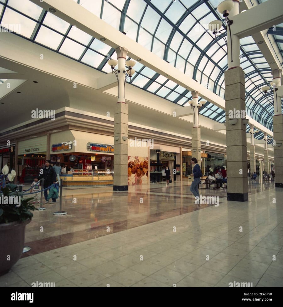 Lansdowne Centre - Gallery Photo 4