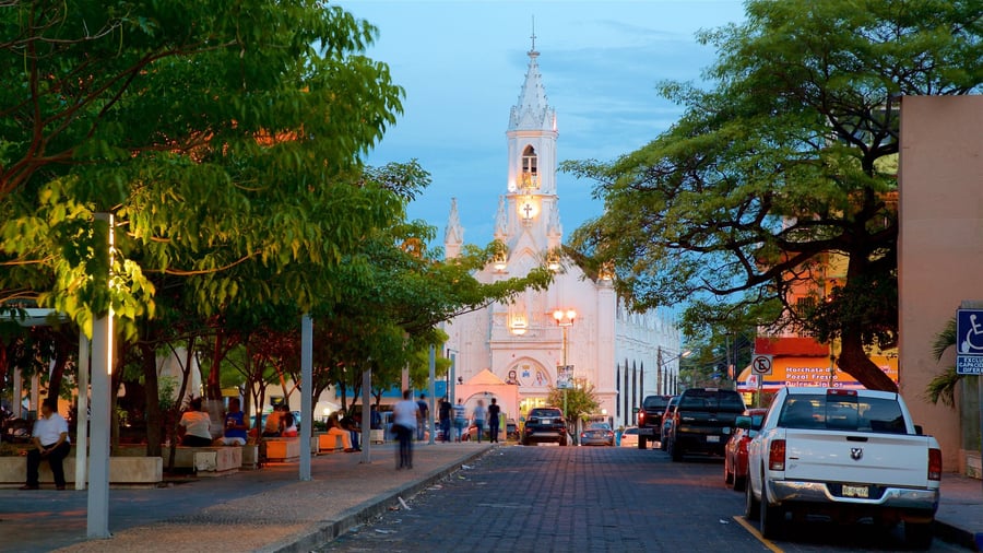 Plaza Campestre - Gallery Photo 3