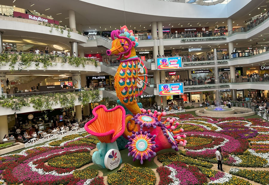 Plaza Las Flores - Gallery Photo 10
