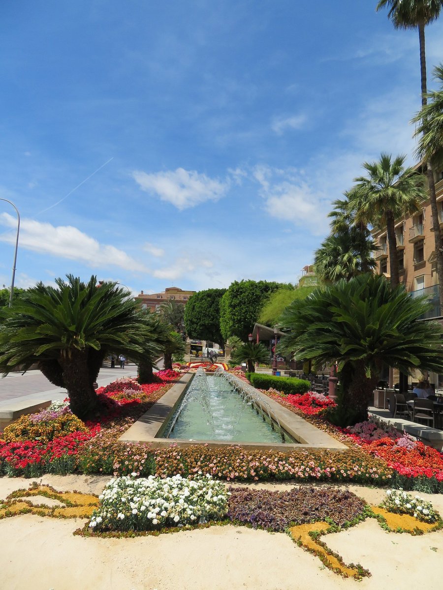 Plaza Las Flores - Gallery Photo 12