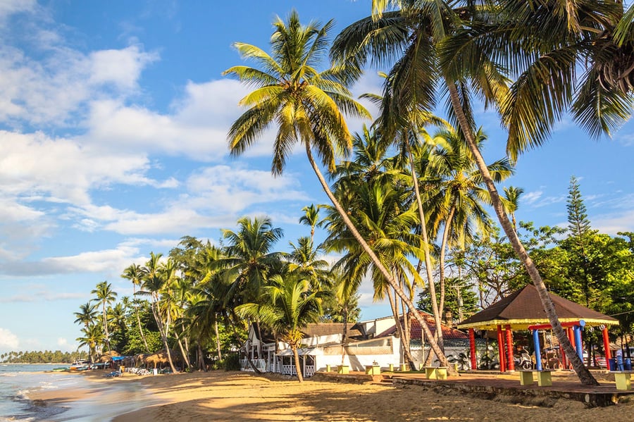Shopping Village Samana - Gallery Photo 3 Shopping Village Samana - Gallery Photo 3