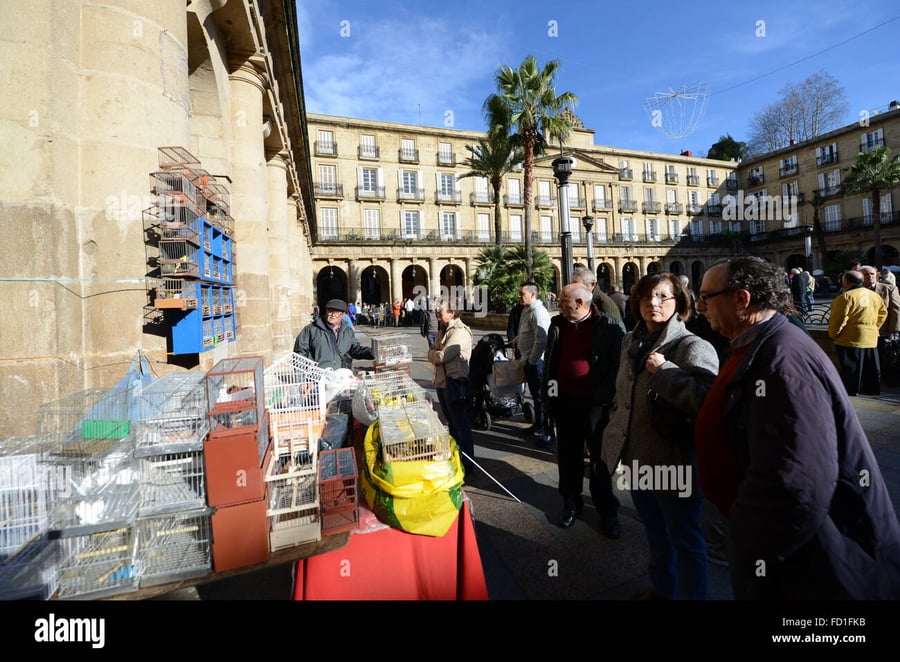 Plaza Villa Nueva - Gallery Photo 3