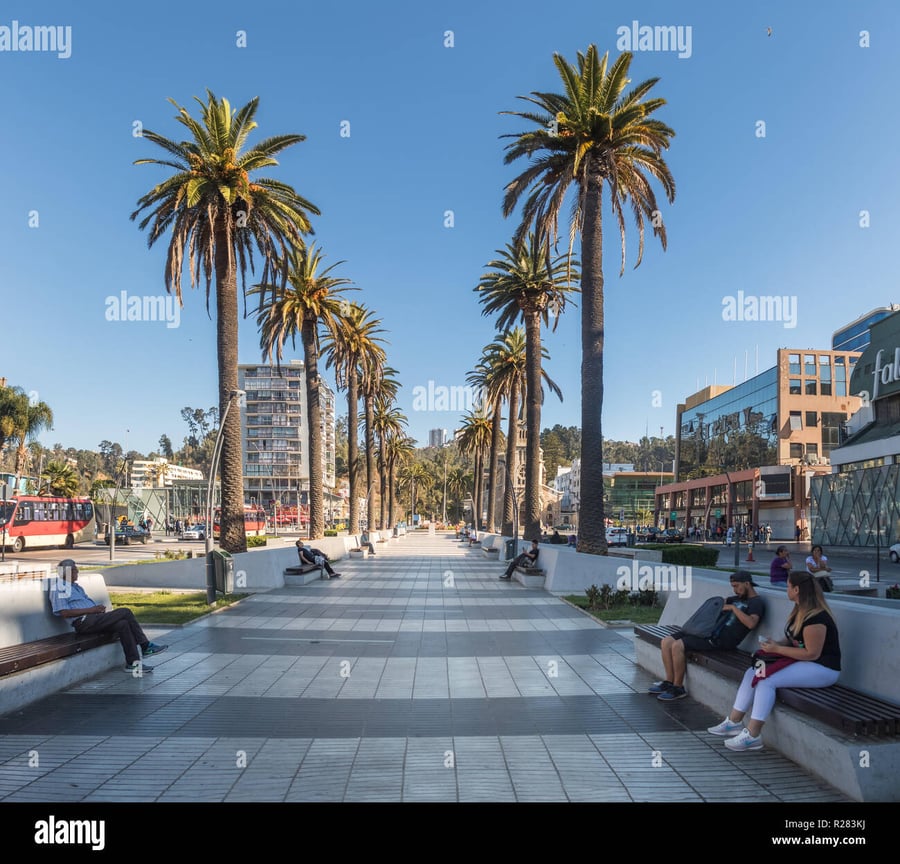 Plaza Las Palmas - Gallery Photo 4
