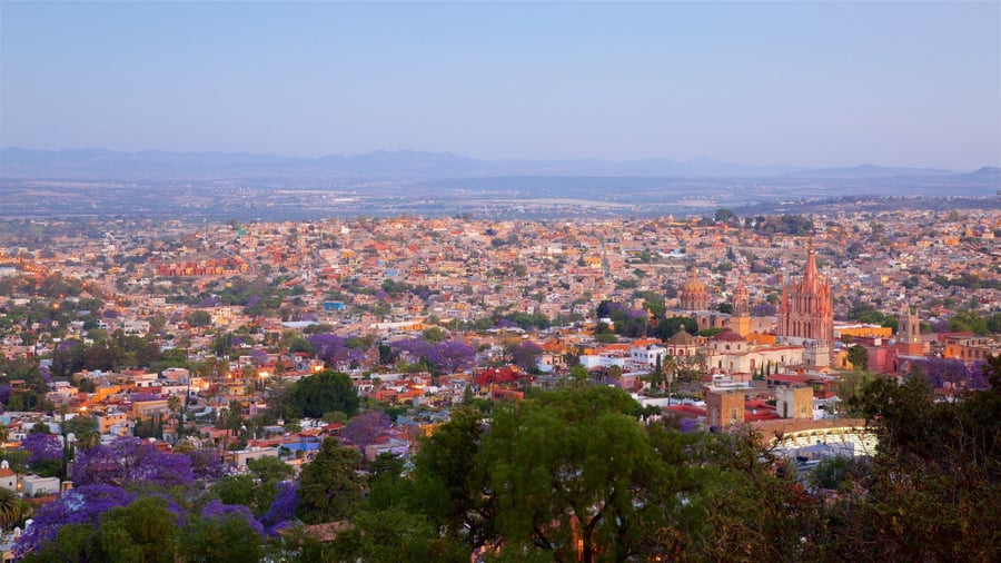 Plaza Sendero Jacarandas - Gallery Photo 6