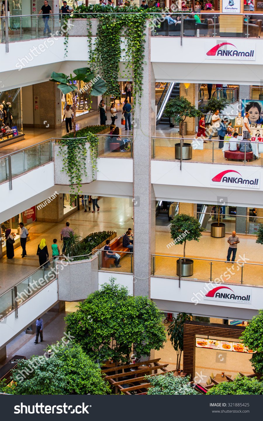 Ank Amall - Gallery Photo 6