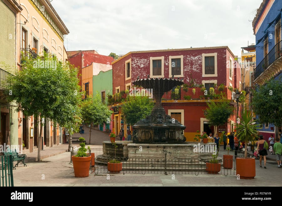 Plaza Magna Irapuato - Gallery Photo 4