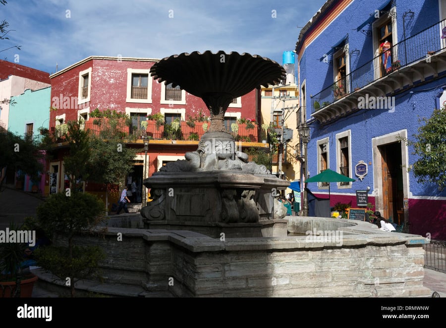 Plaza Magna Irapuato - Gallery Photo 5