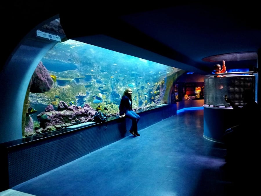 Aqua Florya Istanbul Akvaryum - Gallery Photo 3