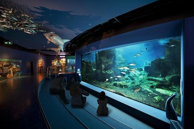 Aqua Florya Istanbul Akvaryum - Gallery Photo 7