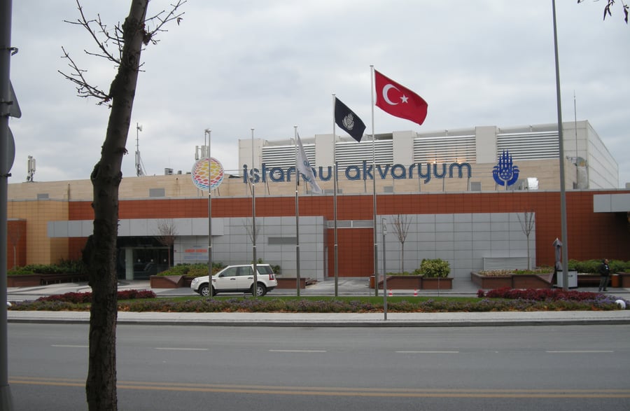 Aqua Florya Istanbul Akvaryum - Gallery Photo 8