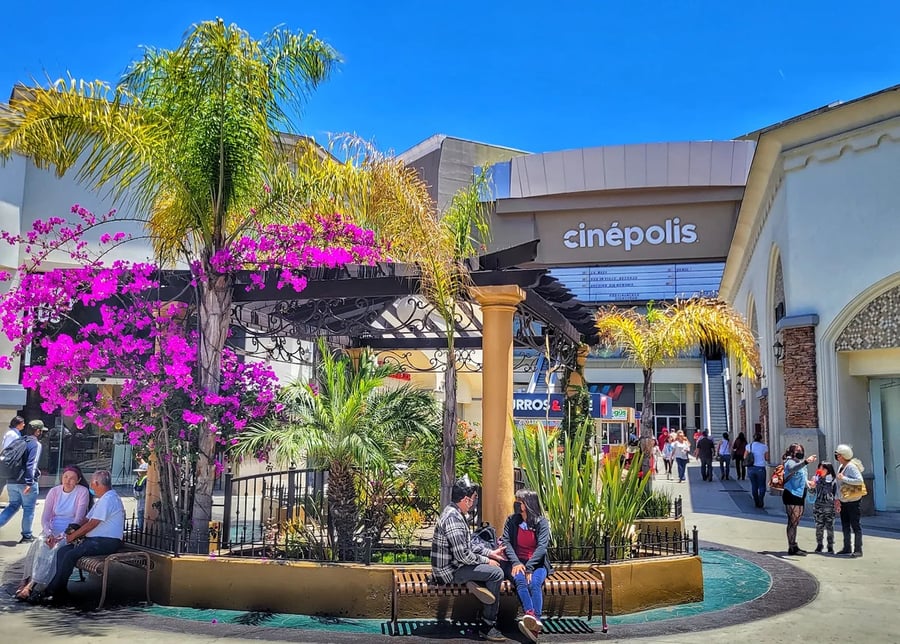 Plaza Paloma - Gallery Photo 6