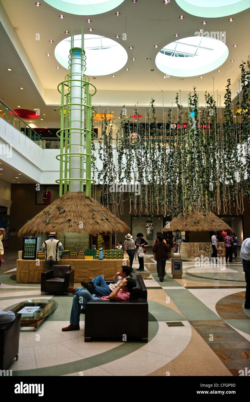 El Tesoro - Gallery Photo 6