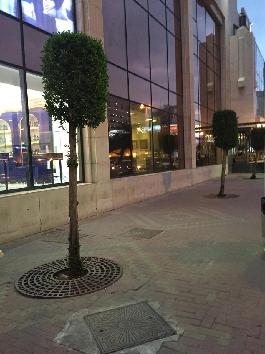 Al Fanar Mall - Gallery Photo 2