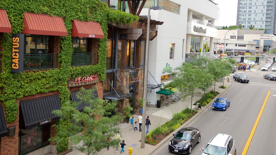 Bellevue Square - Gallery Photo 3