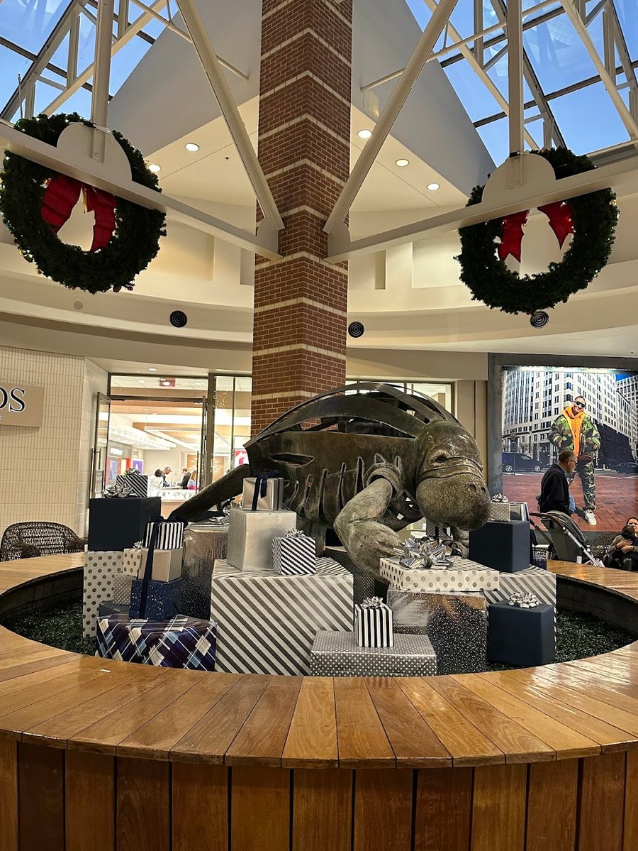 Westfield Brandon - Gallery Photo 2