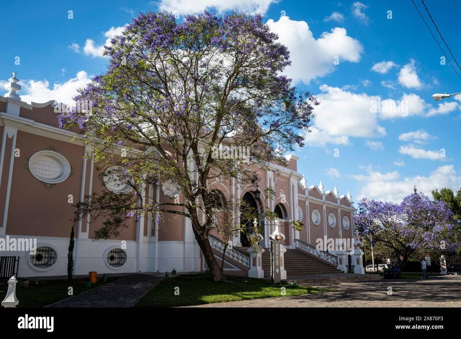 Sur Plaza - Gallery Photo 3