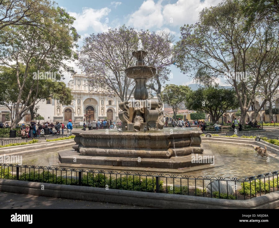 Plaza San Antonio - Gallery Photo 4 Plaza San Antonio - Gallery Photo 4