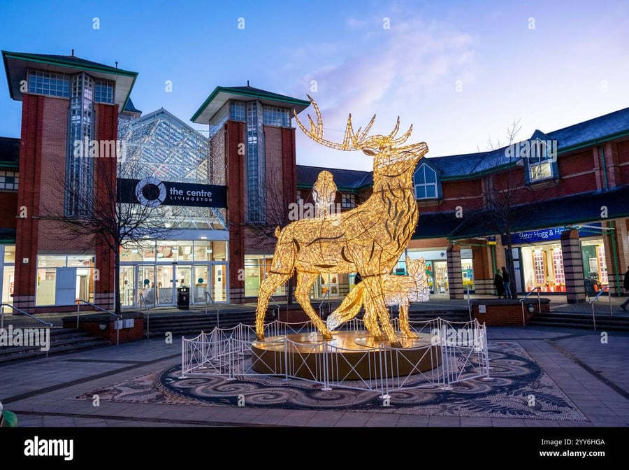 Plaza Livingston - Gallery Photo 6
