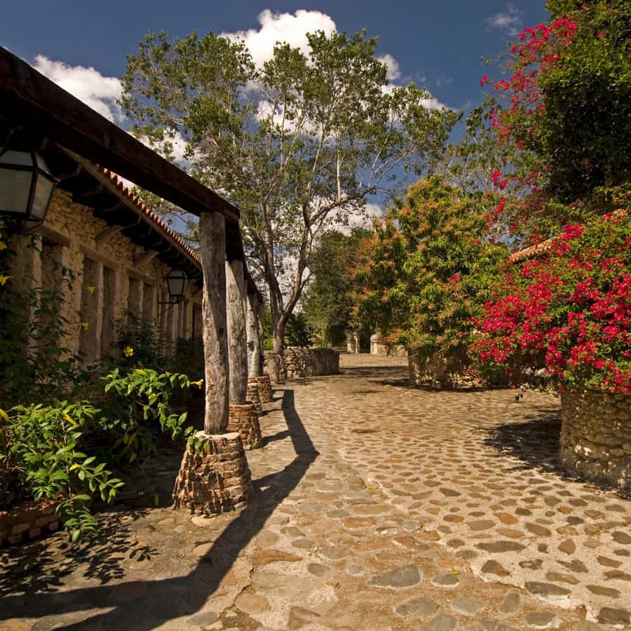 Plaza De La Amistad - Gallery Photo 6 Plaza De La Amistad - Gallery Photo 6