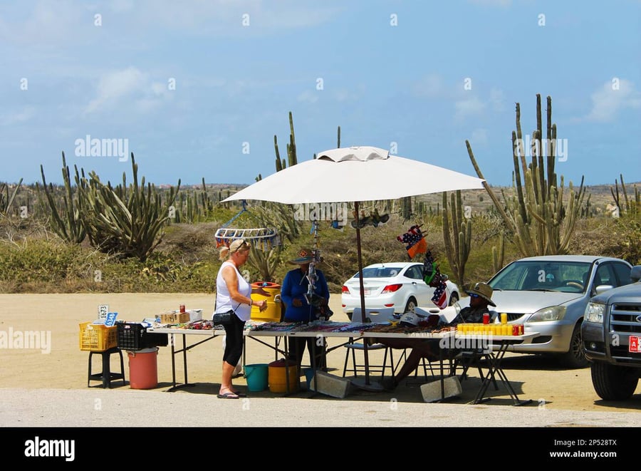 Local Market Noord - Gallery Photo 7