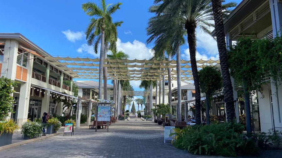Camana Bay - Gallery Photo 8