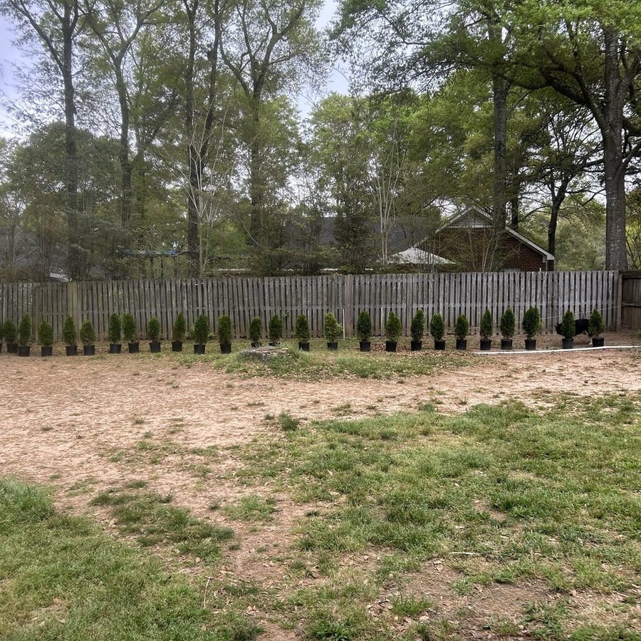 Moss Point Commons - Gallery Photo 3 Moss Point Commons - Gallery Photo 3