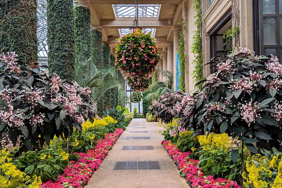 Winter Garden Village - Gallery Photo 4