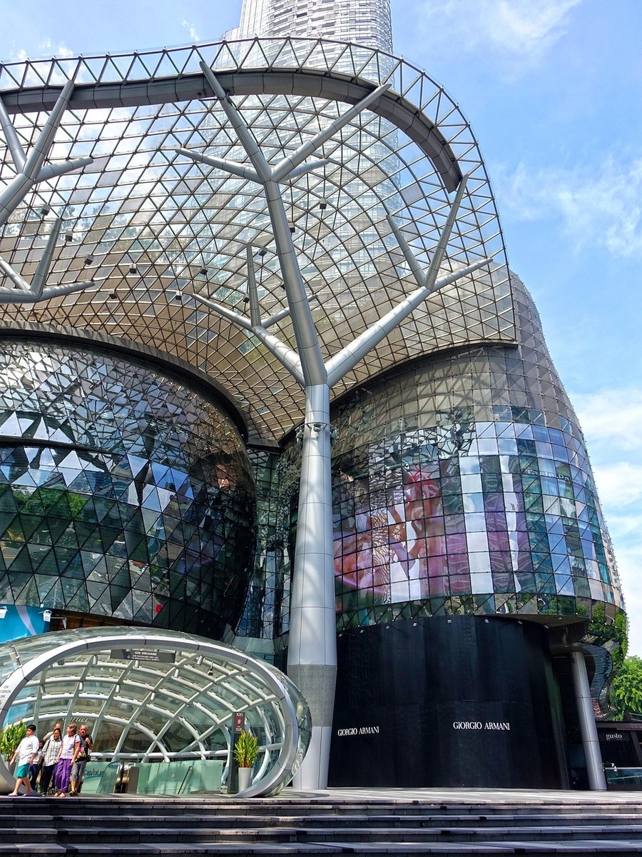 Ion Orchard - Gallery Photo 6