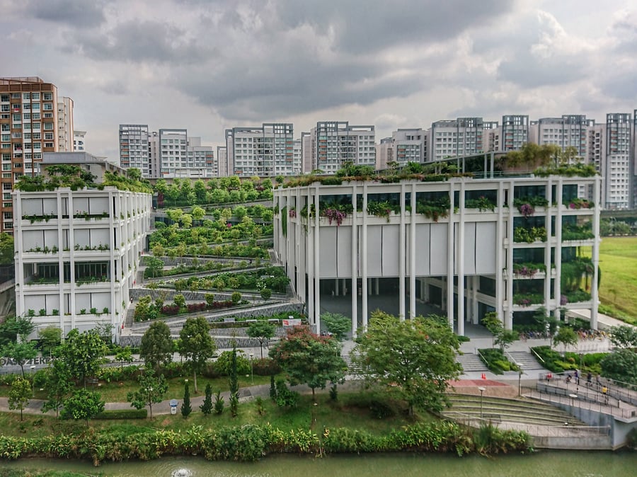 Oasis Terraces - Gallery Photo 3