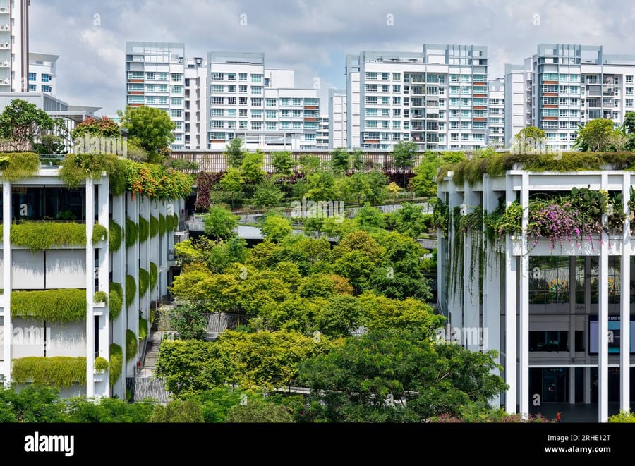 Oasis Terraces - Gallery Photo 5